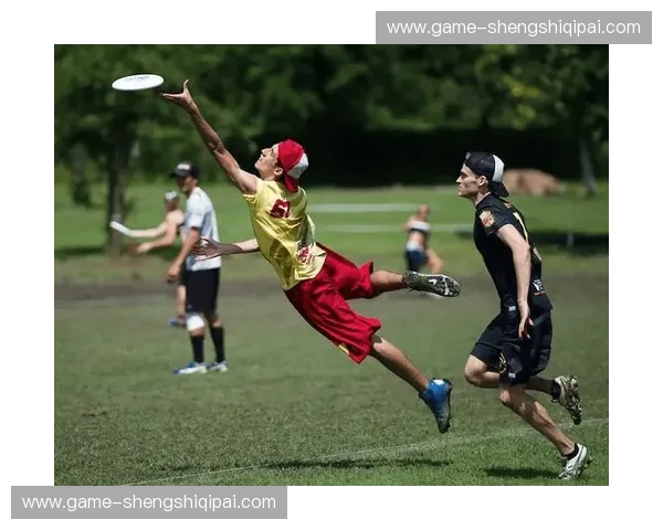 预测飞盘：把每一次投掷变成未来的惊喜